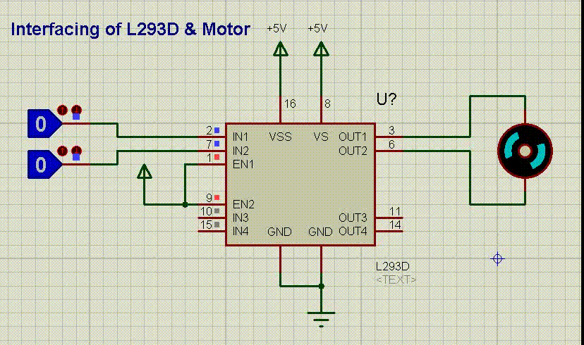 L293D & Motor
