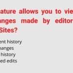 What feature allows you to view all of the changes made by editors on a Google Sites?